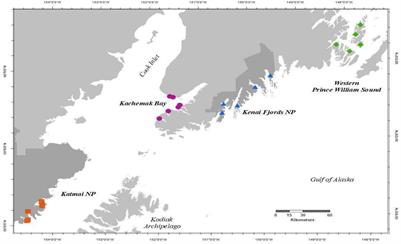 Changes in Rocky Intertidal Community Structure During a Marine Heatwave in the Northern Gulf of Alaska